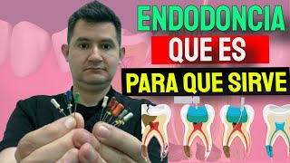 Que es la Endodoncia