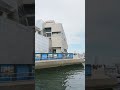 New England Aquarium boston harbor #newenglandaquarium #boston