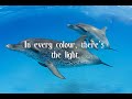 The Dream of the Dolphin ~ Enigma