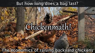 Chickenmath  The economics of Backyard chickens in 3 different setups.