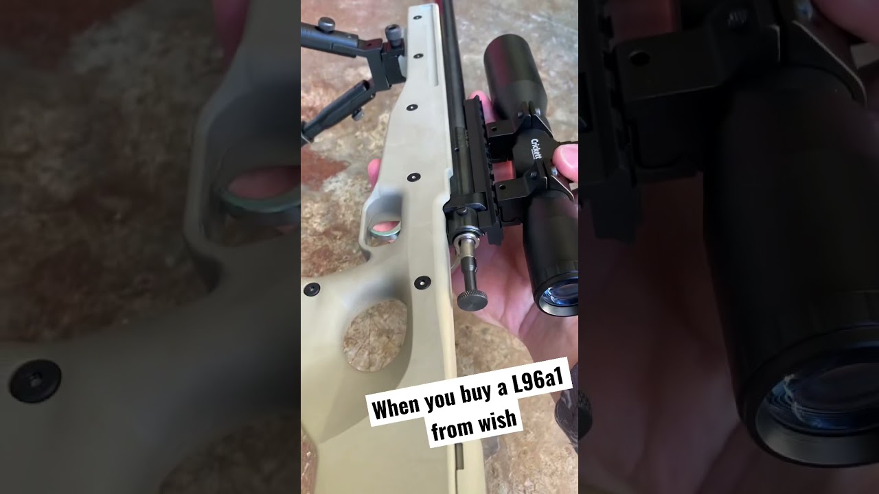 When you buy a L96a1 from wish