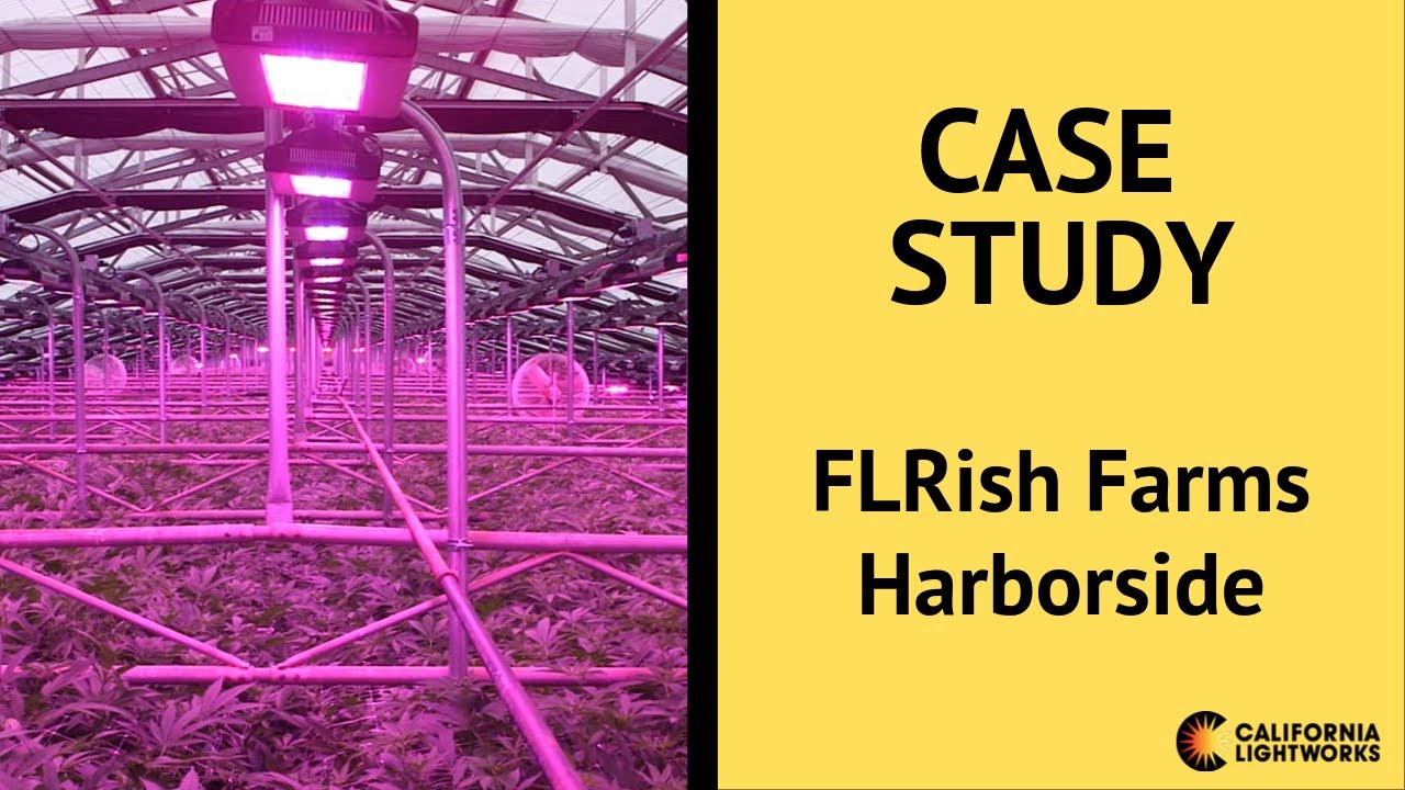 FLRish Farms / Harborside Equipped with California LightWorks SolarSystem 550