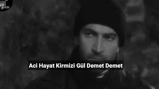 باقة ملفوفة من الورد الاحمر اغنية من دموع الورد مترجمة لاول مرة Kirmizi Gül Demet Demet