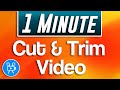 How to Cut and Trim Video | Movavi Video Editor Plus