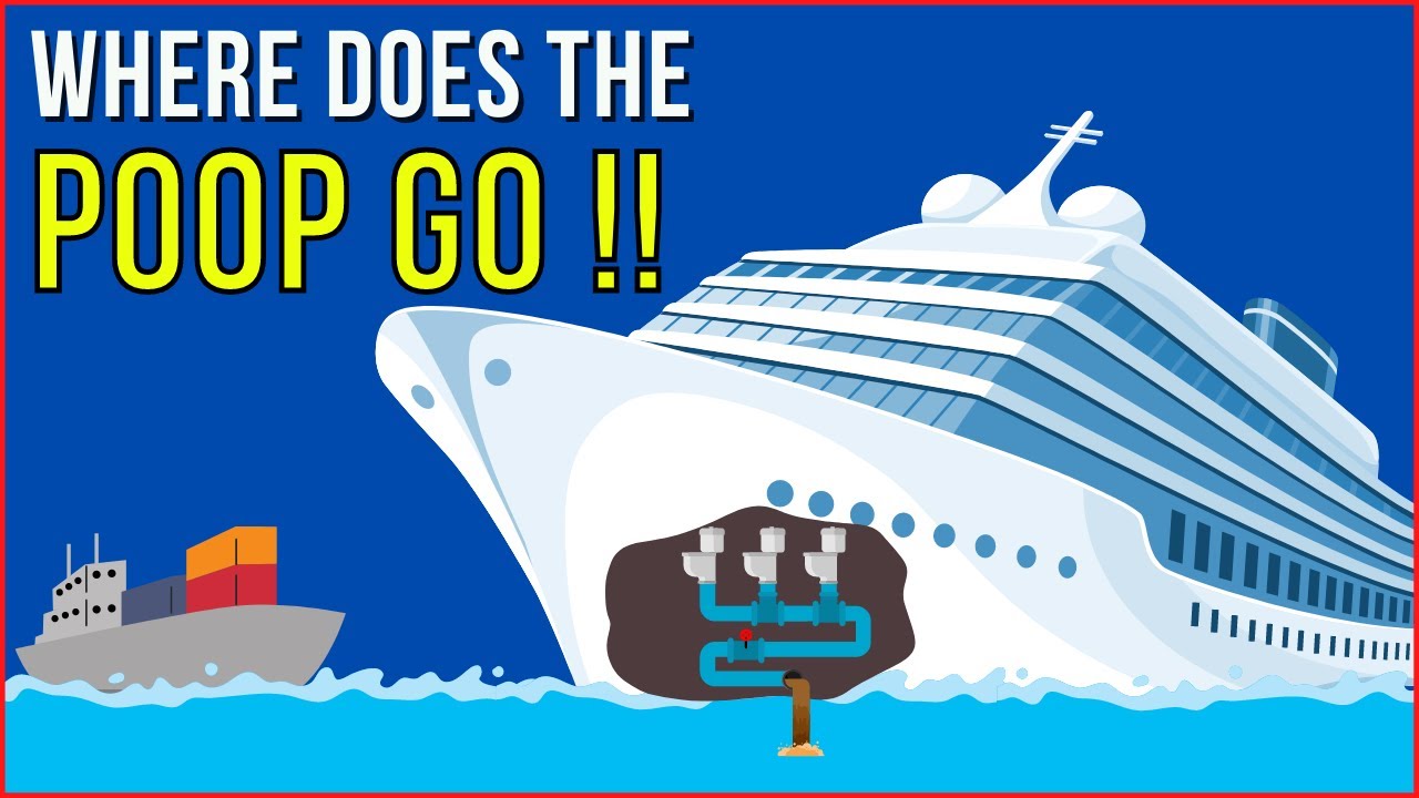 where does poop in cruise ship goes