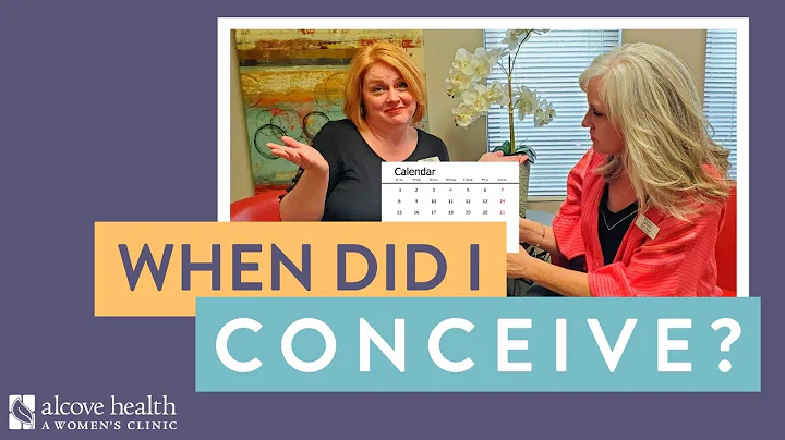 When Did I Conceive?