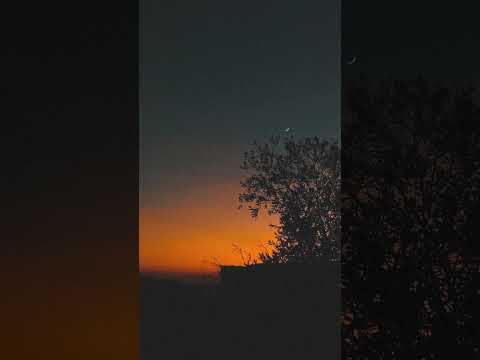 وائل جسار يابختو إلي يسبها على لله