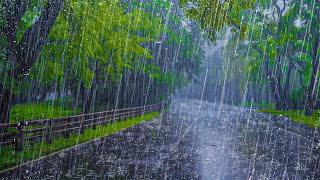 HEAVY RAIN for Deep Sleep  Sound of Rain and Thunderstorm in the Foggy Forest at Night