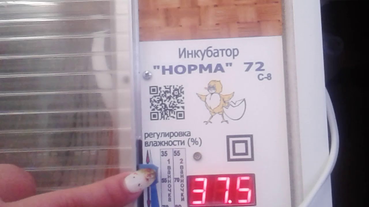 Инкубатор блиц норма 72 таблица