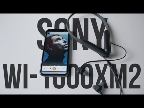 Video: Sony Myi Puolet - EA: N Pomo