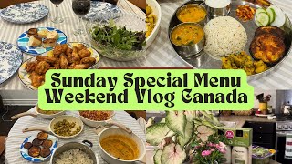 Weekend Vlog Canada - Canada Malayalam Vlog| Chicken Wing Recipe | Maharashtra Tali