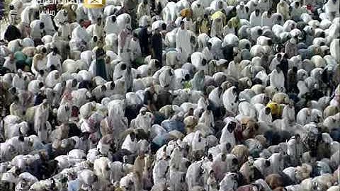 صلاة الفجر الخميس 17-10-1440هـ الشيخ فيصل غزاوي - سورة القلم