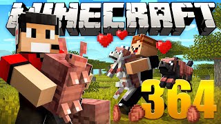 Farm de Tatu  Minecraft Em busca da casa automática #364