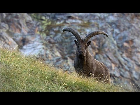 Большой Кавказ Россия От Края До Края