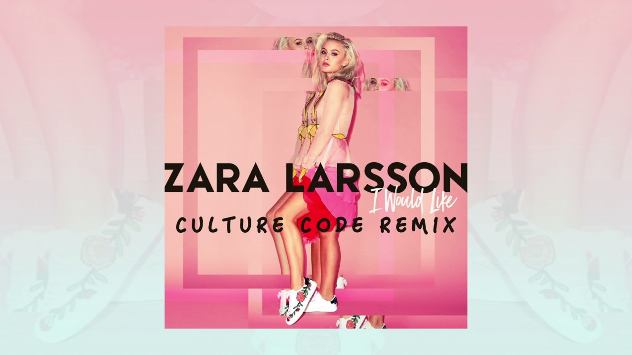 Zara Larsson I Would Like Remix