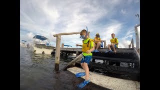 Total Snorkel Cancun Safety Briefing - Is it safe to snorkel in Cancun?