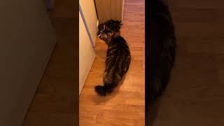 Sacré perf de porter soi même comme ça 🤣 #fyp #humour #viral #pourtoi