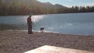 IMG 0531