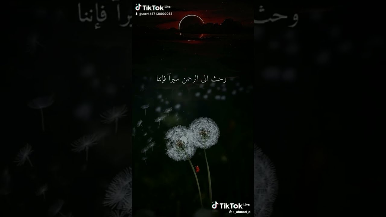 القران الكريم #اكسبلور تلاوه خاشعه #automobile #train #airport