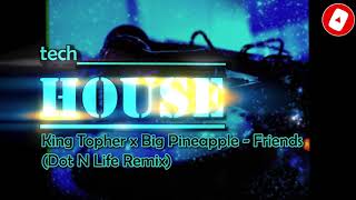 King Topher x Big Pineapple - Friends (Dot N Life Remix)