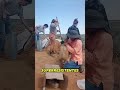 Por qué estos hombres construyen casas con sacos de arena en desierto? #Ingeniería #arquitectura