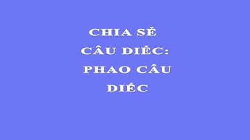 Chia sẻ Phao Câu Diếc