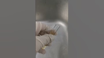 Amorphous Crystals under the microscope #laboratory #medtechstudent #mls #cls #urinesediment #urine