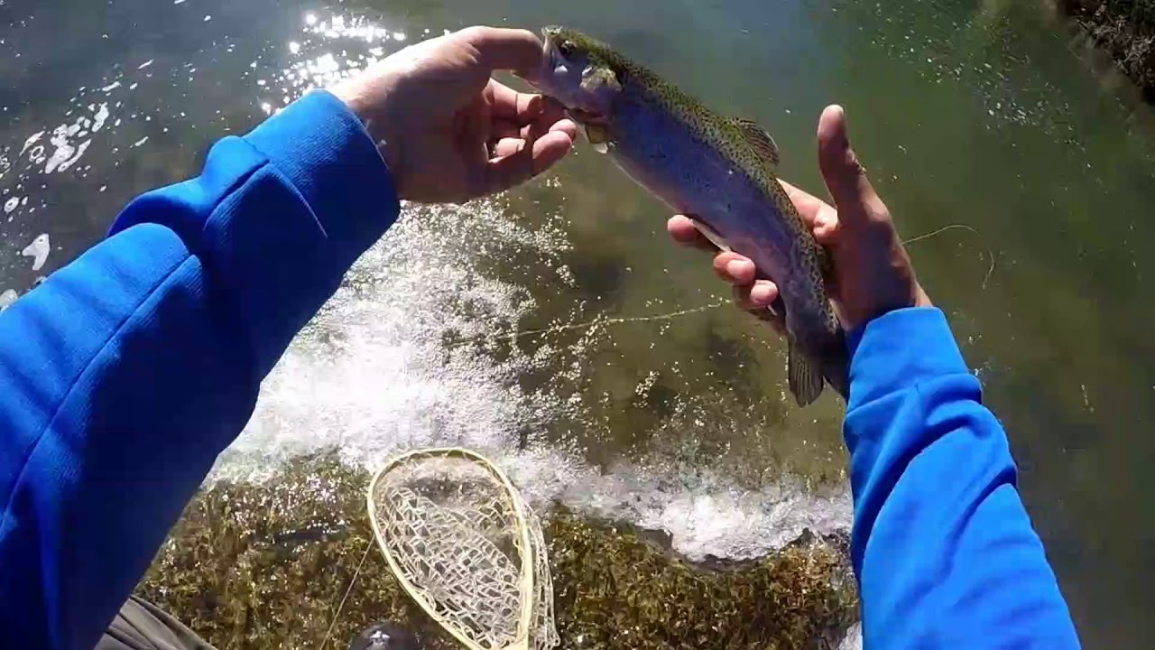 What Worked For Us Trout Fishing the Blue River Ultralight Bait Casting  and More! 