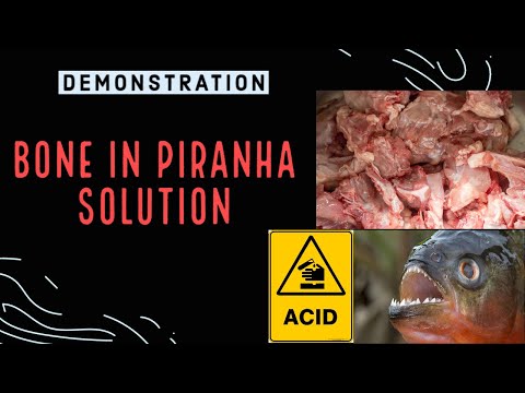 Piranha Solution on Bone
