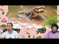 TierZoo: Are Crocodiles OP? ft. Chavezz