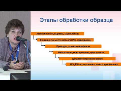 Завалишина Л.Э.; - Типовые артефакты при подготовке материала для гистологического и ИГХ исследов