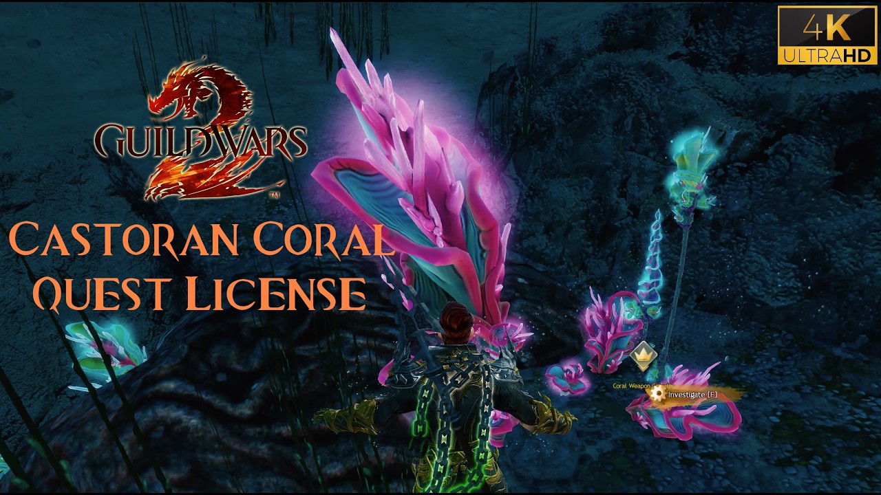 Castoran Coral Quest License Playthrough GW2