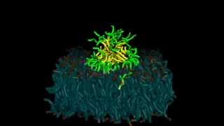 Fighting superbugs with supercomputers