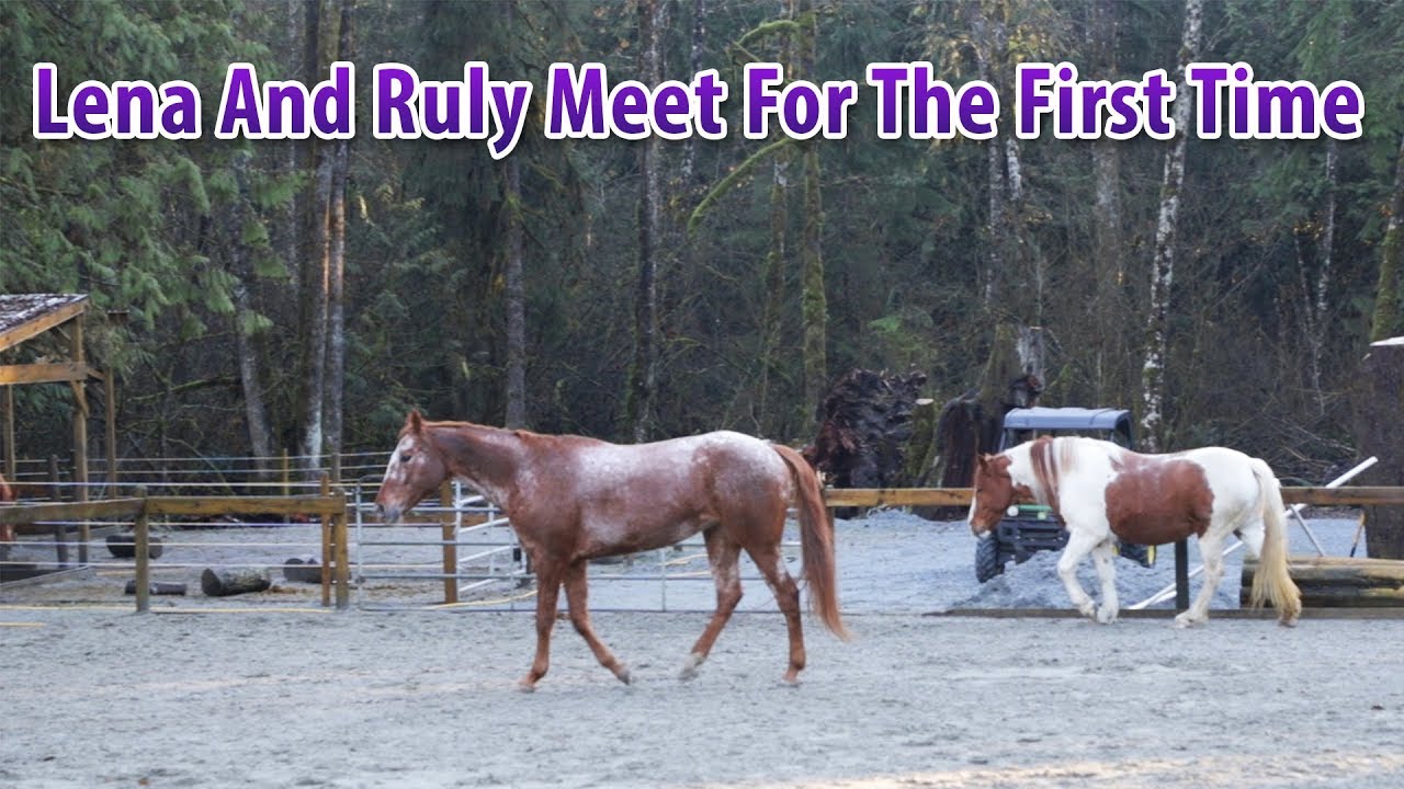 Lena And Ruly Met And Hung Out Together For The First Time Today Lena And Ruly Met And Hung Out Together For The First Time Today