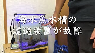 【水槽の故障は危険】海水魚水槽の濾過装置が故障