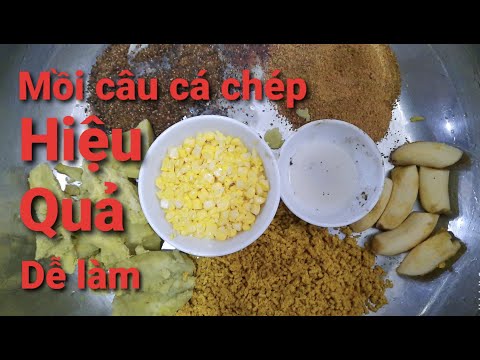 Video: Công Thức Làm Mồi Câu Cá Chép