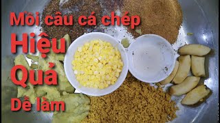 Top 10 cách làm mồi ở câu cá chép mới nhất năm 2022