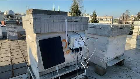 Intelligent Hives in Warsaw - system for detecting anomalies in the hive