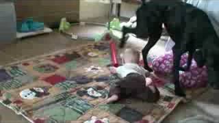 Jackson army crawling