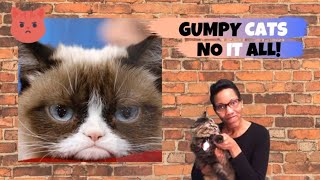 Grumpy Cat/ LEARN SIMPLE SIGN LANGUAGE/ Short Stories in Sign Language
