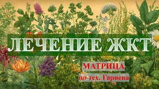 Желудочно-Кишечный Тракт (Лечение Жкт)💎Матрица