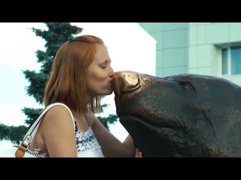 Круизы в удовольствие с Теплоходной компанией «ВолгаWolga»