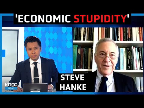 Nothing can fix inflation now, ‘economic stupidity’ is underway by the Fed, Biden – Steve Hanke