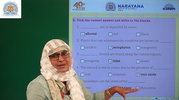 8TH DEC KN CLASS IV SOCIAL AMAZING ASSIGNMENT KEY