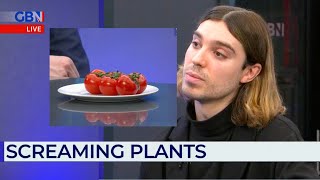 Vegan debates 'screaming tomatoes' on live TV