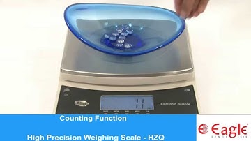 High Precision Scale HZQ