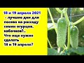 Что можно посеять или посадить 18 и 19 апреля 2021 года?