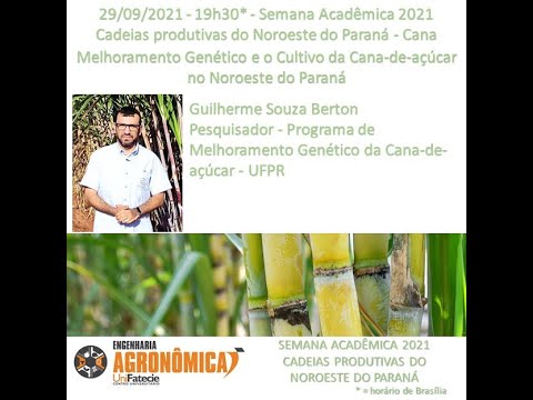 Semana Acadêmica 2021 - Cadeias produtivas do Noroeste do Paraná - Cana
