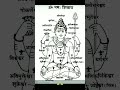 Shiv Sankar🙏 #shiv #shiva #shivshankar #viral #trending #shorts