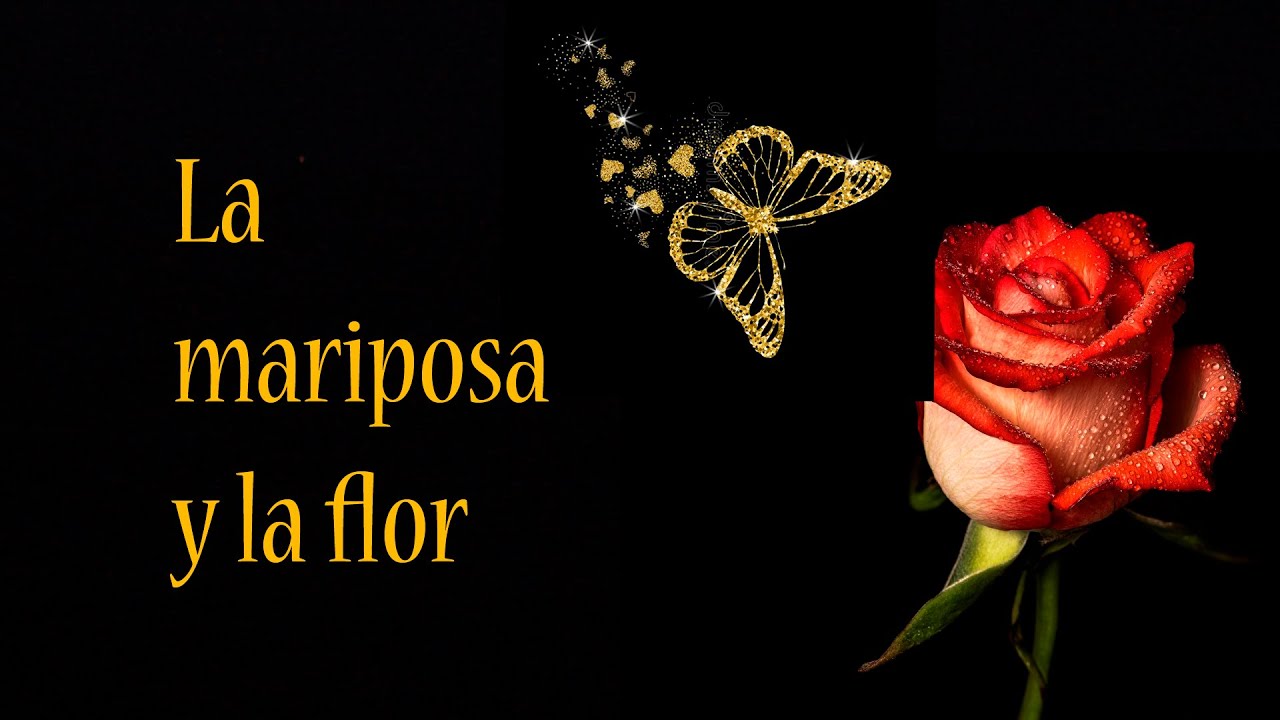 LA MARIPOSA Y LA FLOR YouTube